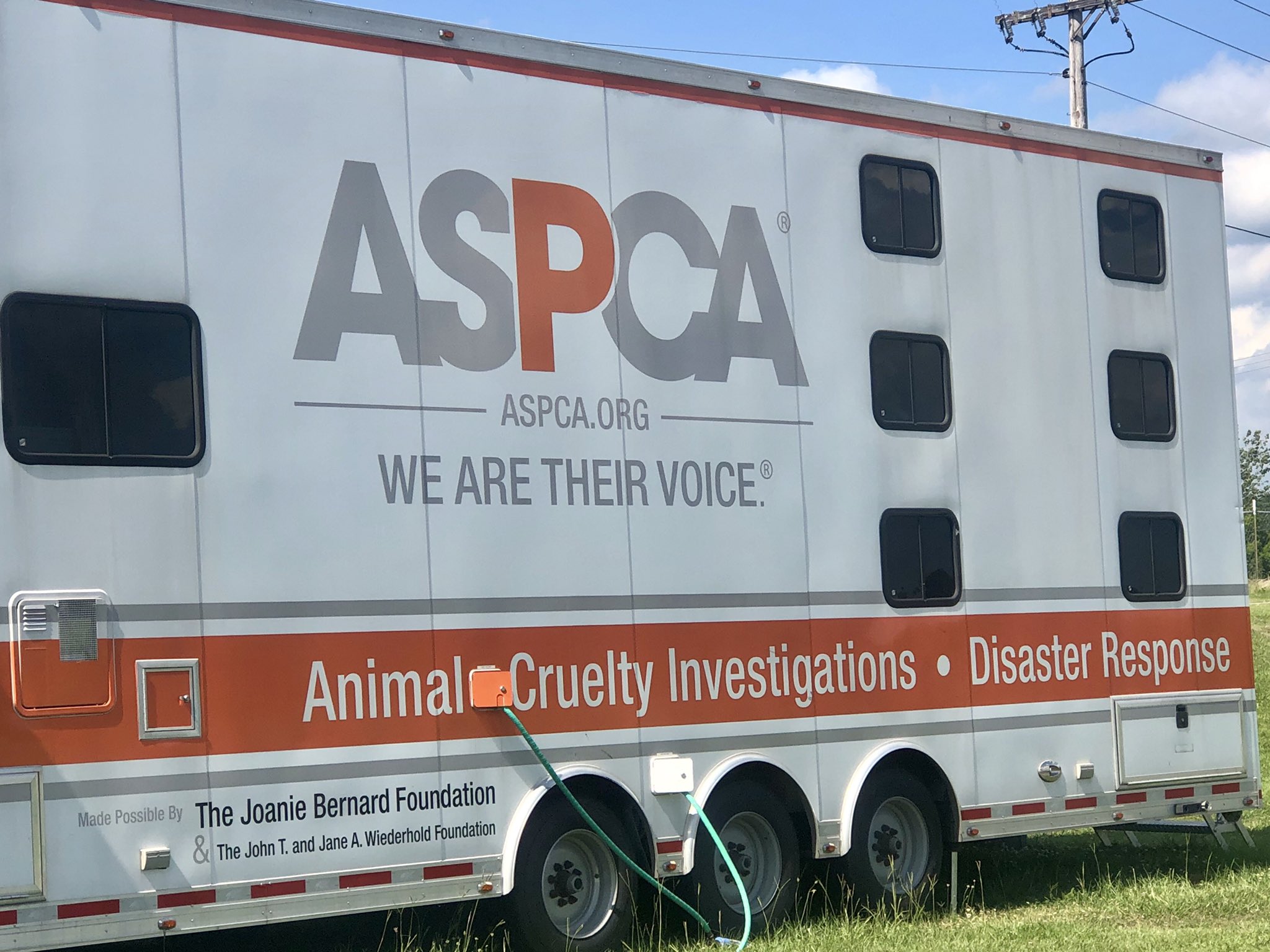 Shelby Rose For Over A Week The Aspca Has Assisted Faulkner County In Running An Emergency Animal Shelter Due To The Flood They Ll Be Leaving June 18th And Are Looking Shelby Rose For Over A Week The Aspca Has Assisted Faulkner County In Running An Emergency Animal Shelter Due To The Flood They Ll Be Leaving June 18th And Are Looking