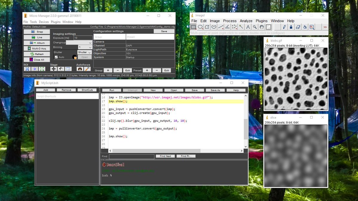 haesleinhuepf's tweet image. Just got GPU-acceleration using #clij running in #MicroManager 🥳 Great #SmartMicroscopy days lie in front of us. 😃

Thanks @nico_stuurman for pushing this! 😎