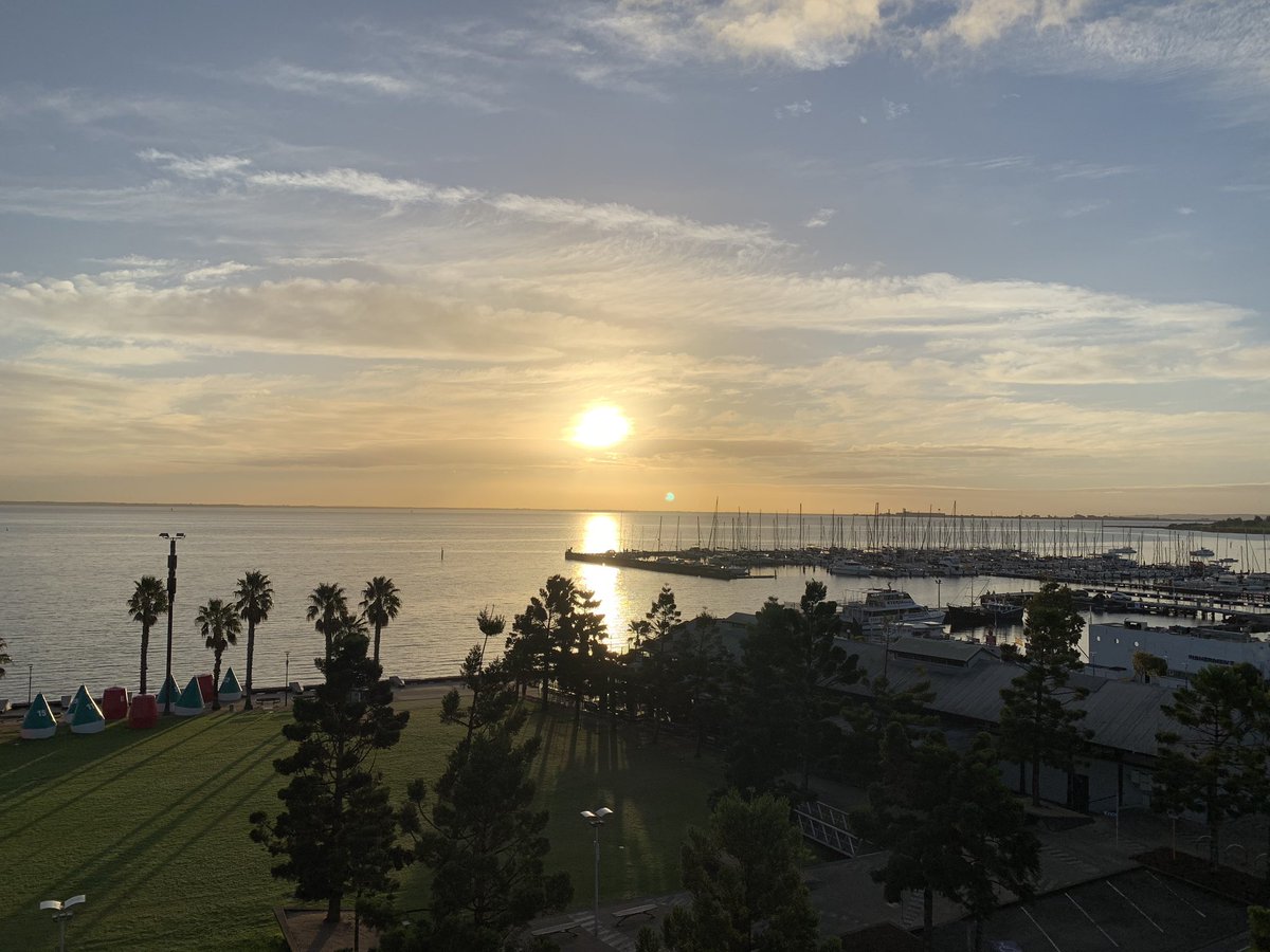 Genevieve Pepin tweet media