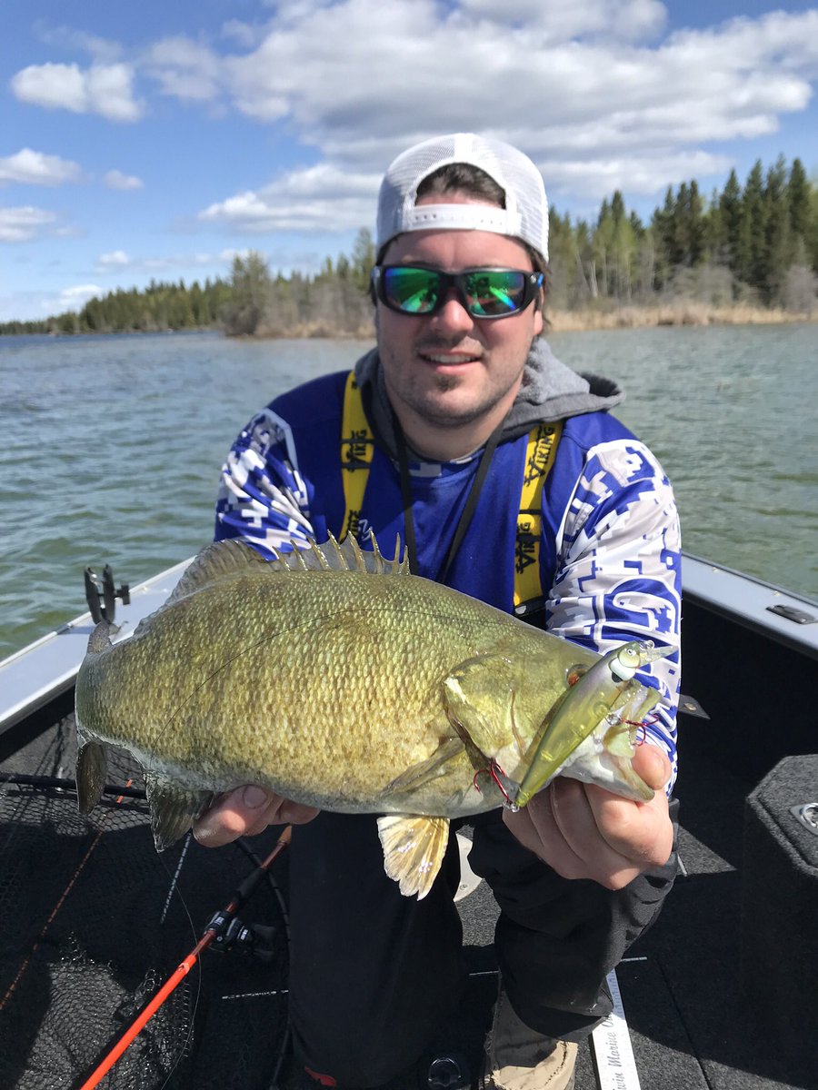 This was one of my favourite bass catches on a recent trip to Manitoba. I put on the @GloProLures GP1 and on my second cast I hooked up. This fish almost instantly came right out of the water and got me all fired up! <a href="/amphibiaeyegear/">Amphibia Eyegear</a> #smalljaws #fishing #manitoba #bassin