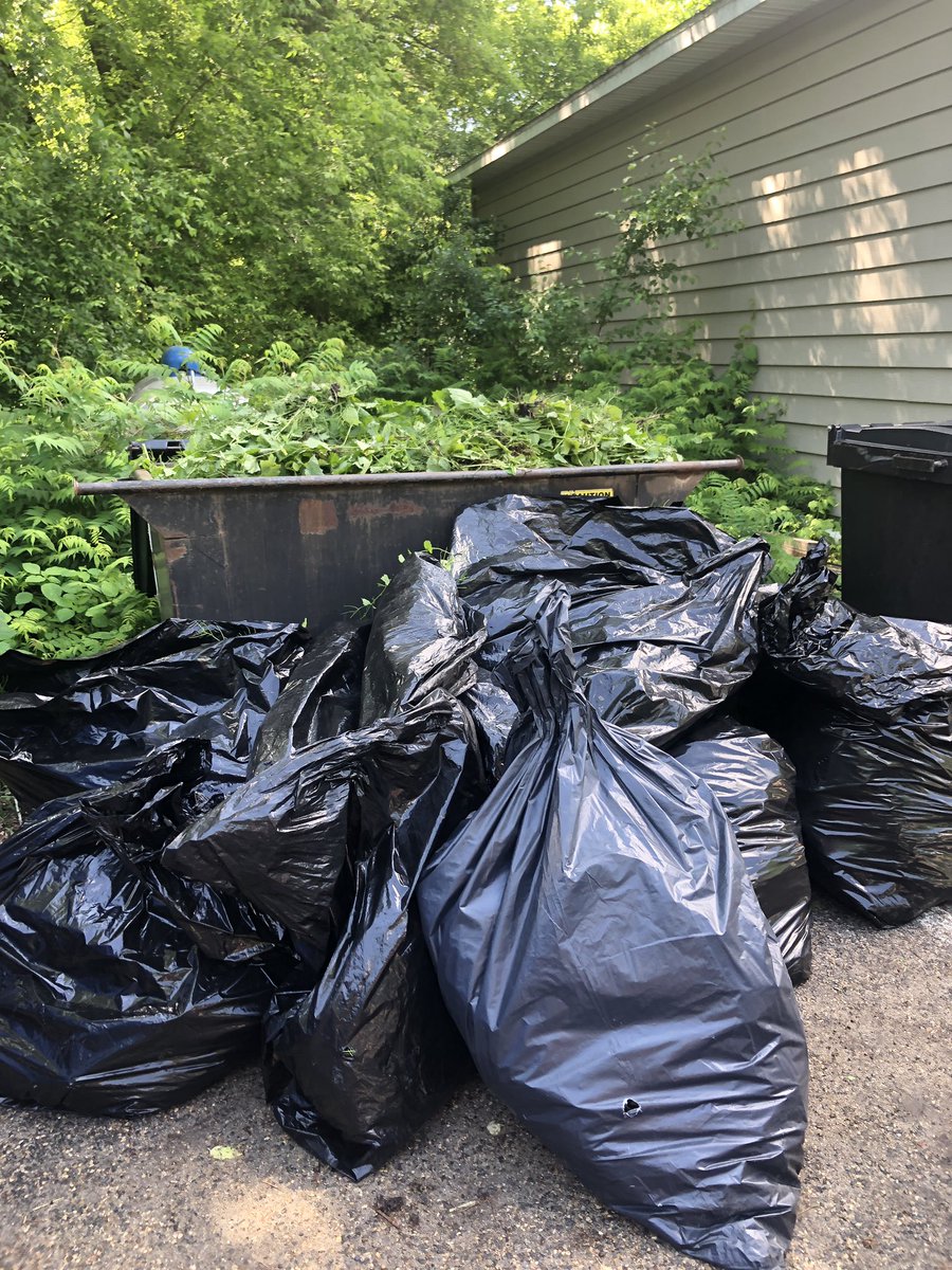 Oh how I love a little D111 volunteer collaboration! We had leaders and TMs from 1351, 2321, and 1068! We dominated that invasive species! 🎉🎉😎#UnitedWay #MyGivingMonth <a href="/Lisa_a_collins/">Lisa collins</a> @ChrisPage30 <a href="/BRehnelt/">Brian Rehnelt</a> <a href="/Marisa_ann28/">Marisa Williamson</a> <a href="/kristine_ulrich/">Kristine</a>