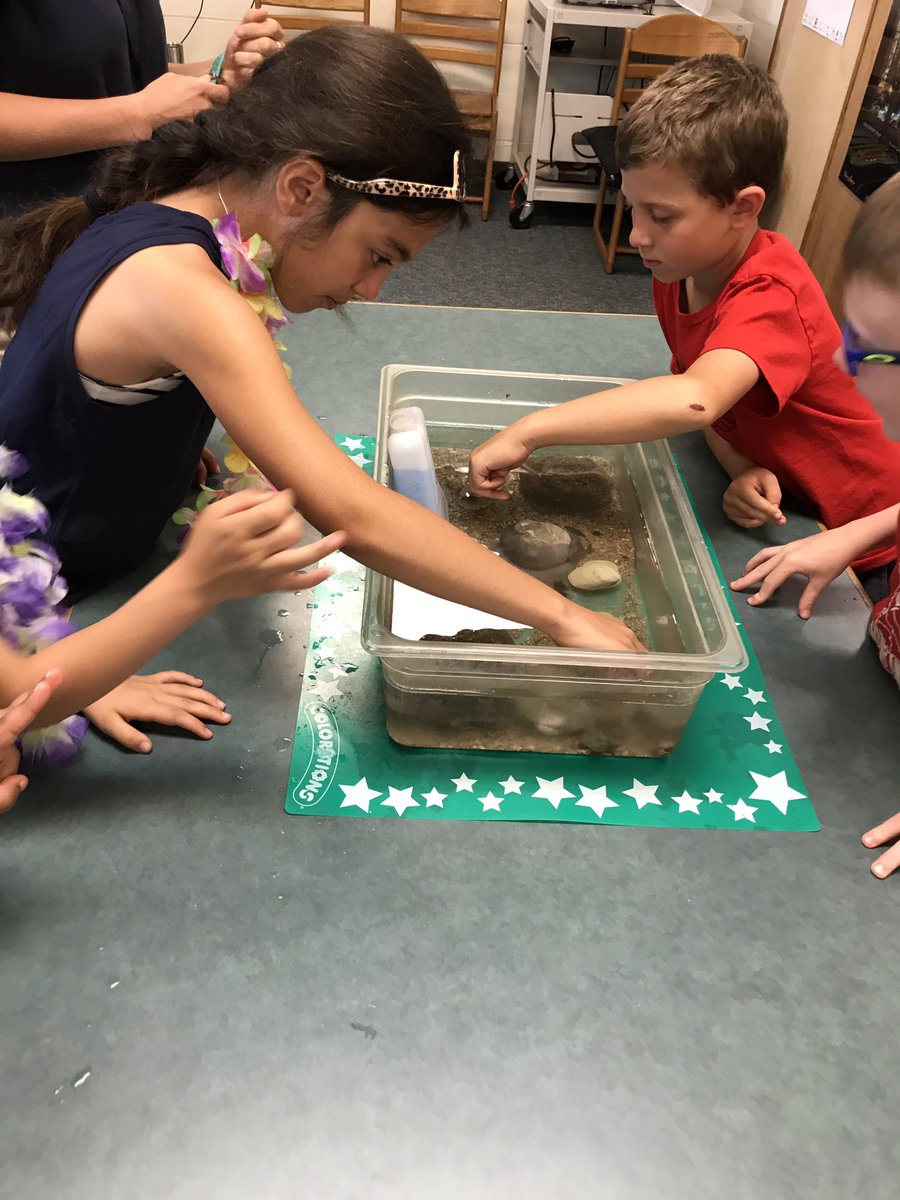 MrsMosgrober's tweet photo. I’m not even sure where to begin with all the awesome activities we had on Beach Day! I guess we’ll start with when @NEAQ came to teach us about different tide pool habitats. We observed the living and non living things to help us figure it out! #northschool https://t.co/kij7CiXmqH