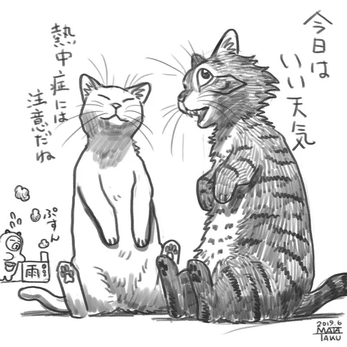 6月13日

最低気温   12.0℃
7:30現在   17.1℃
予想最高気温   24℃
天気は くもり 昼前から晴れ

弘前市

全国の天気はこちら
https://t.co/gaQD8Dfny0 