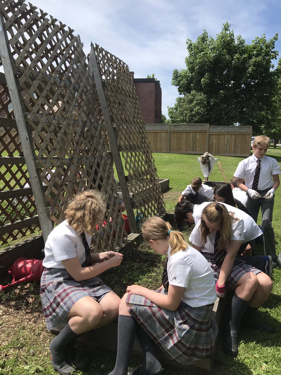 AlieElliott's tweet image. So much fun ending the school year like this!! #outdoorclassroom #studentdesigned #seedtotable @TCSBears @EcoSchoolsCAN @Tomatosphere