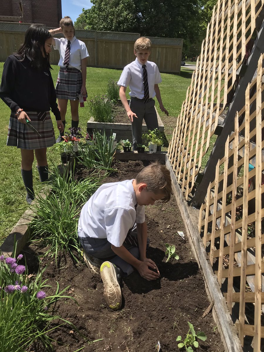 AlieElliott's tweet image. So much fun ending the school year like this!! #outdoorclassroom #studentdesigned #seedtotable @TCSBears @EcoSchoolsCAN @Tomatosphere
