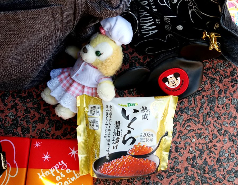 ディズニーの開園待ちは飲食可能 1人でトイレに行くときはどうする 日常向上ハピネス上等