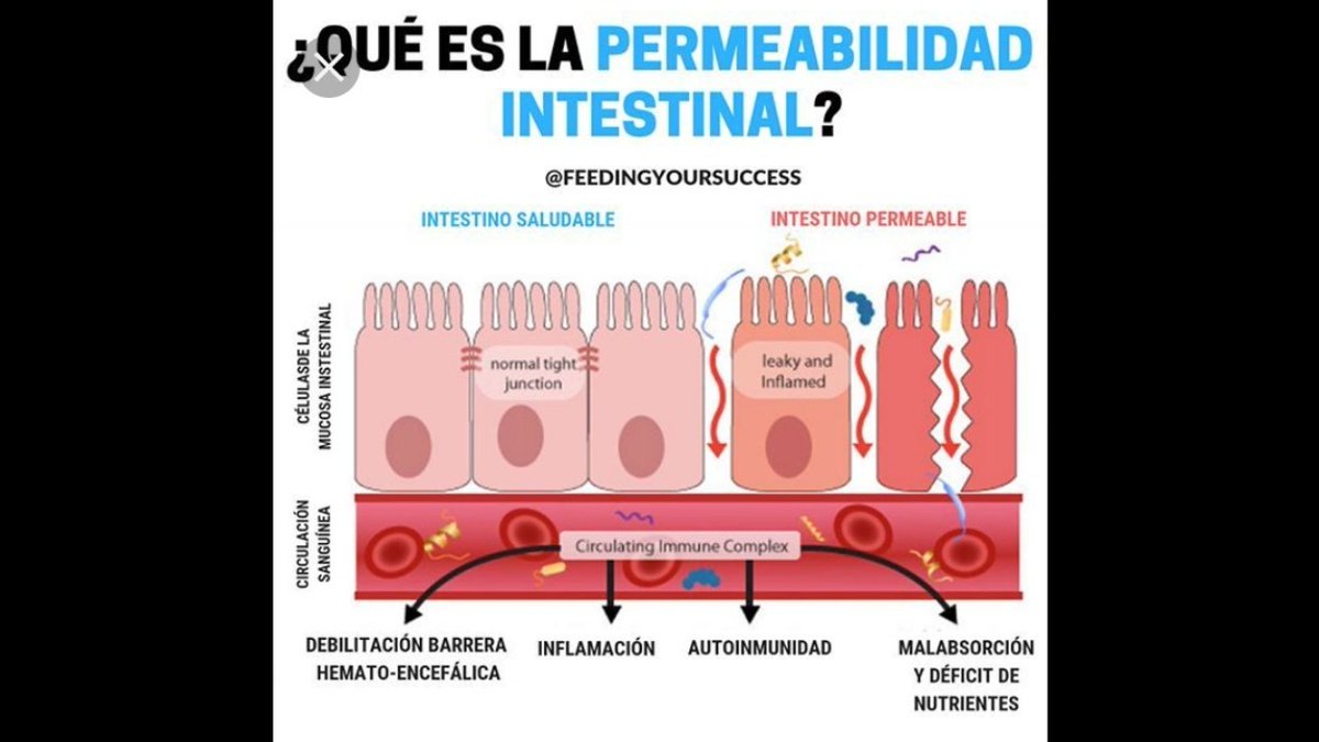 magraziagirone's tweet photo. Hoy en @afcartagenaco @LoDoyXqueQuiero con @magraziagirone hablando de #microbiota #permeabilidadintestinal #leakygut #obesidad #diabetes #zonulin #WorldMicrobiomeDay  @CaracolTV @canalcartagena  @jr_sarmientoc @GutMicrobiotaWW @Carig2 @CgenaComoVamos https://t.co/BtzeFHJaeD