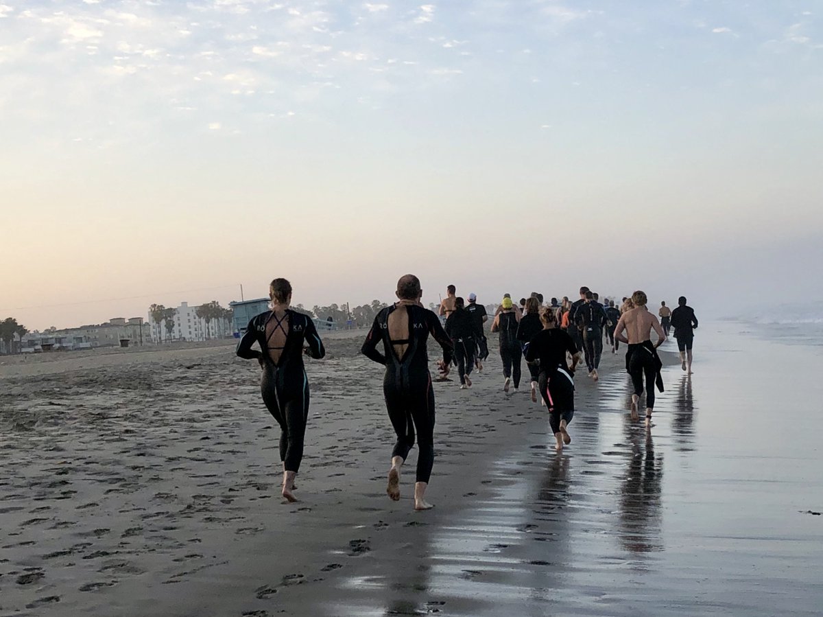 Gerry Rodrigues tweet media