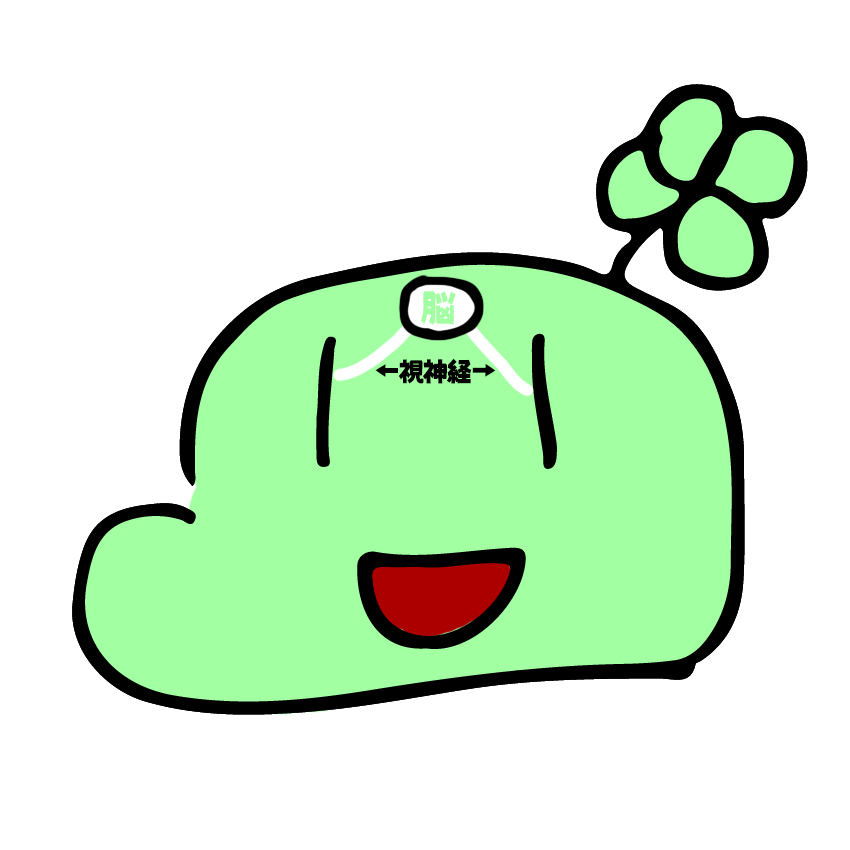 のばまん A Twitter なんか今気づいたんですけど絵心のある人がこのキャラを描くとちゃんとおでこを描いてくれているんですよね たしかによくよく考えるとこの目の位置の生物には脳みそ3グラムくらいしか入りませんもんね