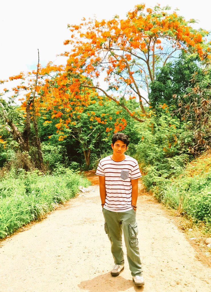 Emvibarreo's tweet photo. You keep my heart burning like a Fire Tree. https://t.co/L484SeVzWX