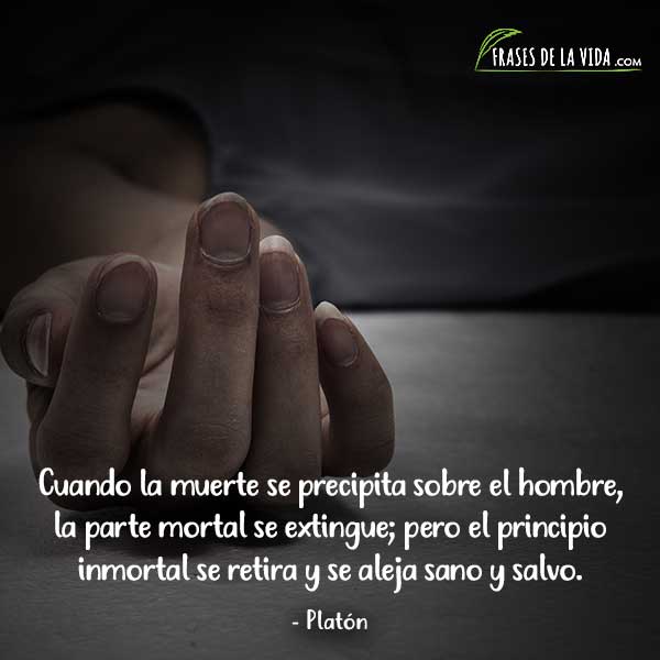 Twitter 上的 Frases de la vida：