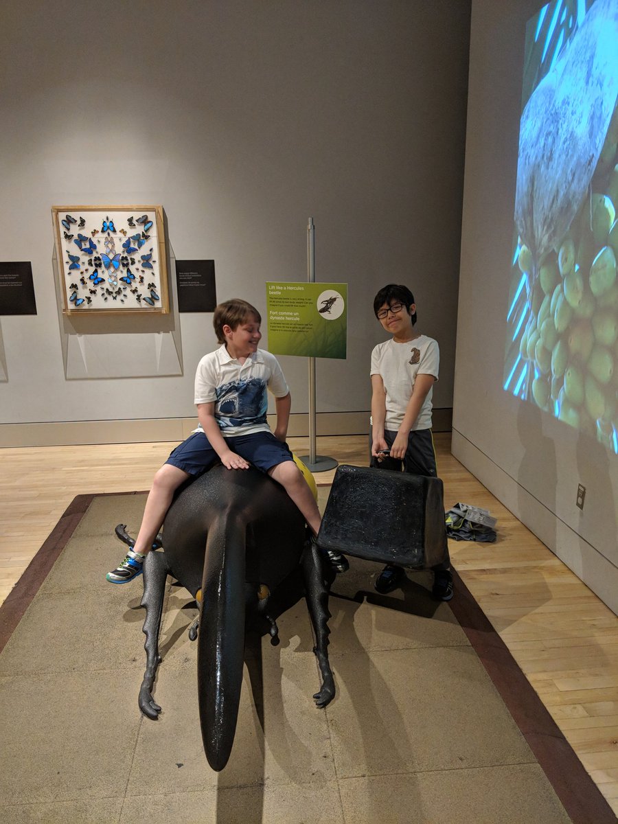 misskejackson's tweet photo. Tons of fun and learning at the @MuseumofNature today! @OCDSB @BondarBlazers https://t.co/rhRgrVn14l