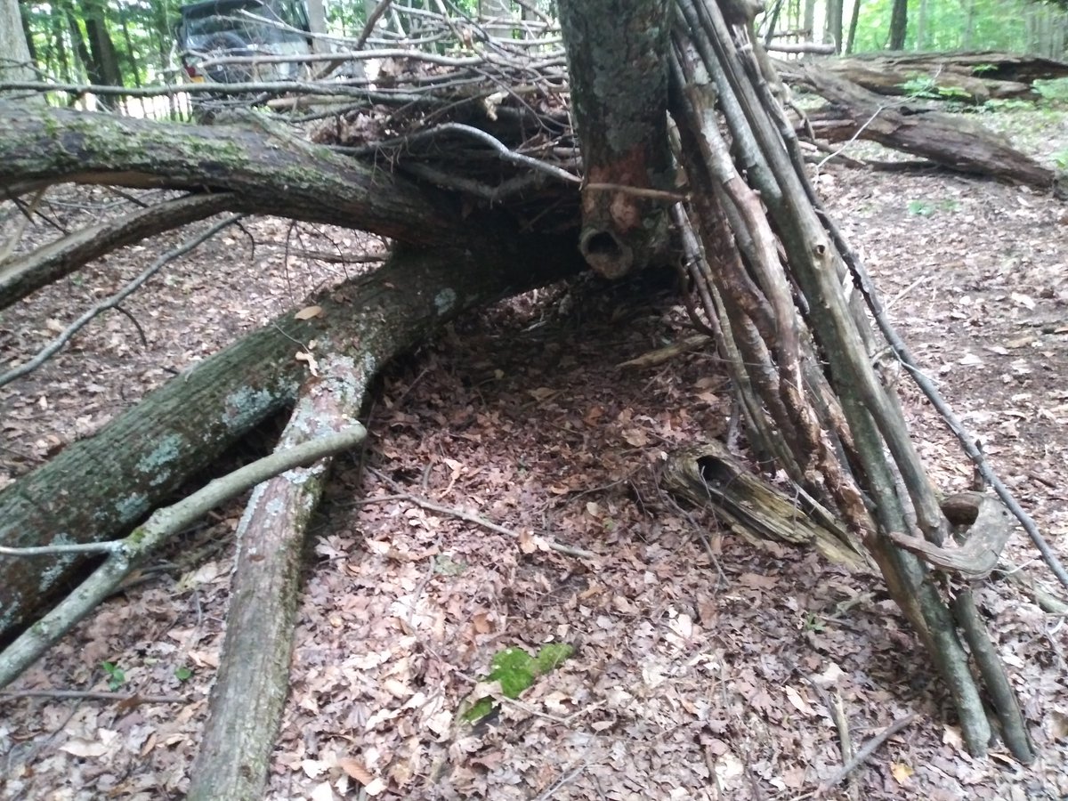 Toekneedrums's tweet photo. #noknife #noaxe #dunnage #survival #bushcraft @Camping123456
@LaguitoGal @bushcamp2 @CaveBear86 #30minutes https://t.co/SjdgRWOPUB