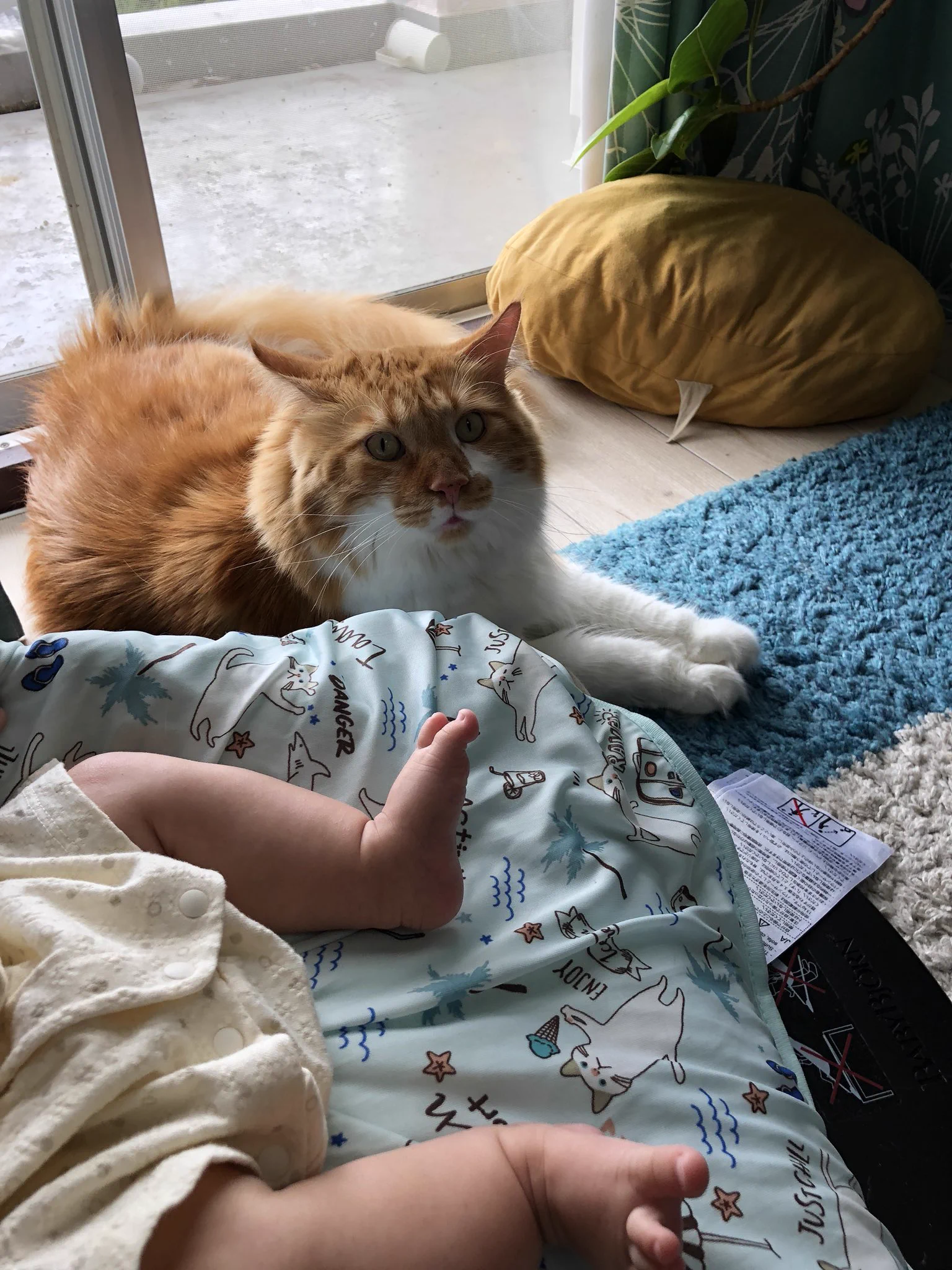 赤ちゃんの子守を手伝ってくれてる猫ちゃんたち♡