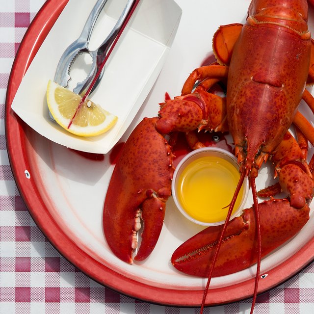 cinnamonkitchn's tweet photo. #ad | Sign up now to the waitlist for Maine New Shell Lobster for a chance to win a season of Maine New Shell Lobster &amp; a trip to Maine! Available during Maine’s peak harvest beginning in late June. #MaineLobster https://t.co/fl3AExW9Wr @LobsterFromME https://t.co/WTRfJokZ46