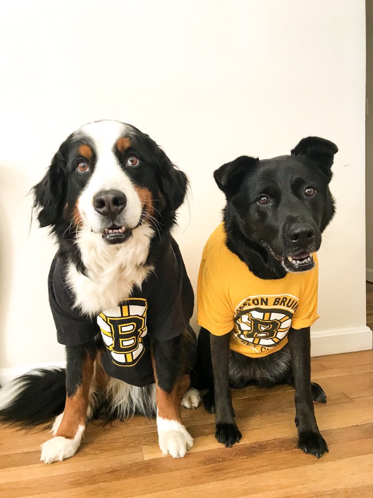 Big day in #Boston - <a href="/StanleyCup/">The Stanley Cup</a> Finals! Let’s go <a href="/NHLBruins/">Boston Bruins</a> <a href="/NHL/">NHL</a>onNBCSports #bruins #nhl #stanleycup @NHL <a href="/boston25/">Boston 25 News</a> <a href="/7News/">7News Boston WHDH</a> <a href="/NBCSports/">NBC Sports</a> <a href="/WCVB/">WCVB-TV Boston</a> <a href="/tdgarden/">TD Garden</a>