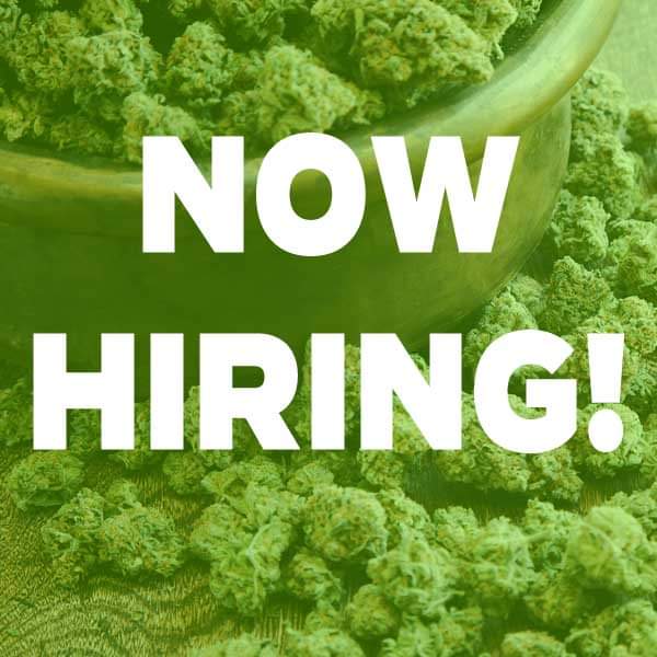 Hey there all you smoking enthusiasts! Always wanted to work at Mr. Nice Guys? We are looking for a motivated individual to join our stellar staff! If interested please feel free to stop by the store and grab an application or apply online!
mrniceguysglass.com/employment/