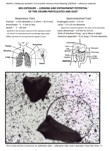 Against_3G's tweet photo. @NTelegraph https://t.co/bvur0zRj9I

This is what exposure to rubber crumb dust does to your body. https://t.co/miTUxcSyWL