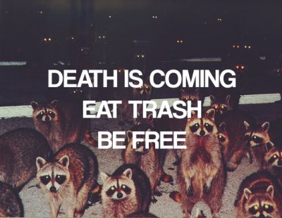 Death is coming eat trash be free