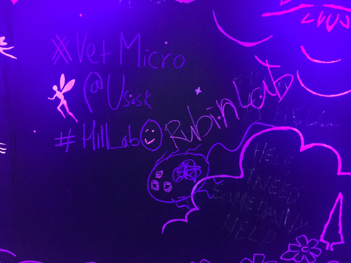 DYDY_Jung's tweet photo. We are here! #Hilllab #Rubinlab #WCVMVetMicro #CSM2019 #forestalumina https://t.co/sWBxoucTcB