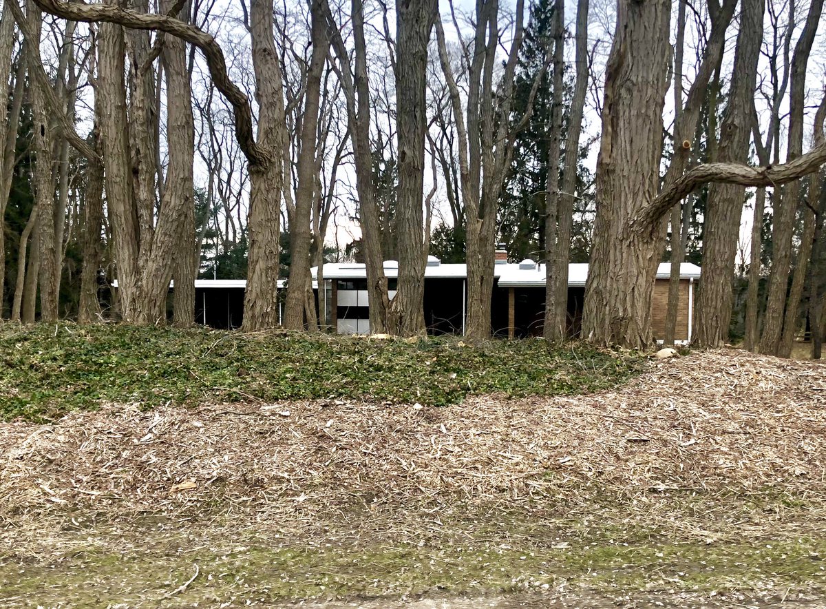 James Livingston, Forsyth House (1959) & Riverview House (1960) /// These were two of the earliest houses built in the neighborhood, one on the ravine side and the other with a view over the Huron River.