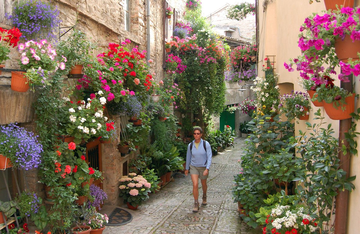 2019 #cibcef International Challenge Judges Lorna McIlroy (Canada) and Andrea Bocsi (Hungary) in comune.spello.pg.it <a href="/comunifioriti/">Comuni Fioriti</a> <a href="/CanadainItaly/">Canada in Italy</a> <a href="/ItalyinCanada/">ItalyinCanada</a> <a href="/BallHort/">Ball Horticultural</a> <a href="/AiphGlobal/">AIPH</a>