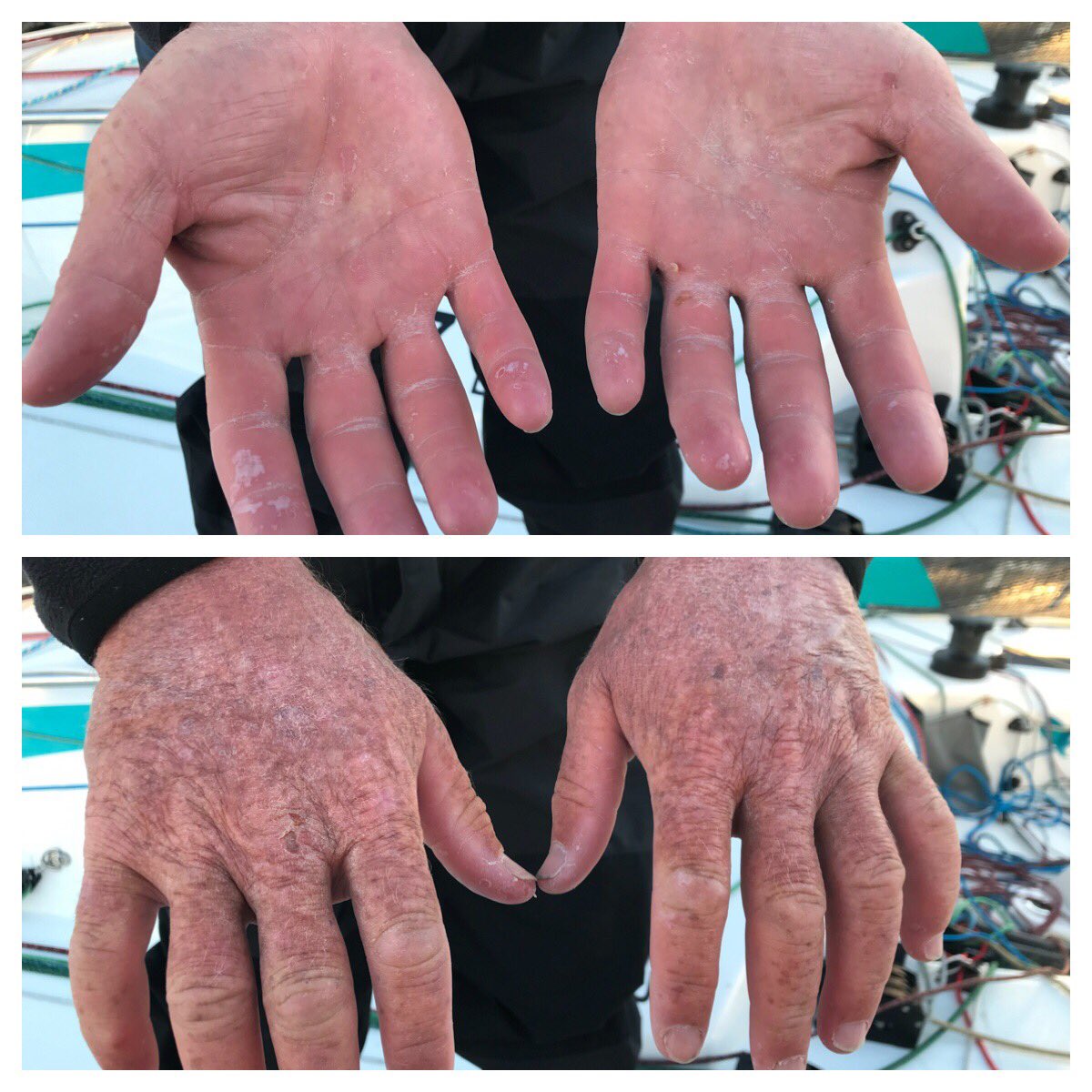 Michel Desjoyeaux tweet media