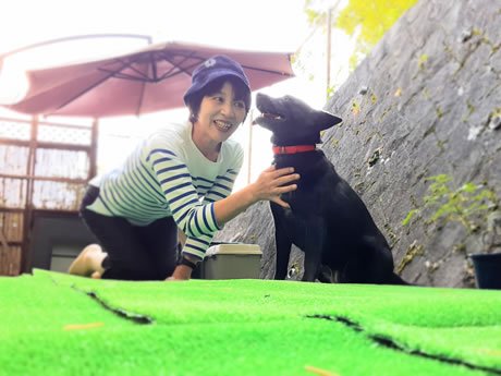 京都府のペットと泊まれる宿 بحث في تويتر 京都府のペットと泊まれる宿 بحث في تويتر