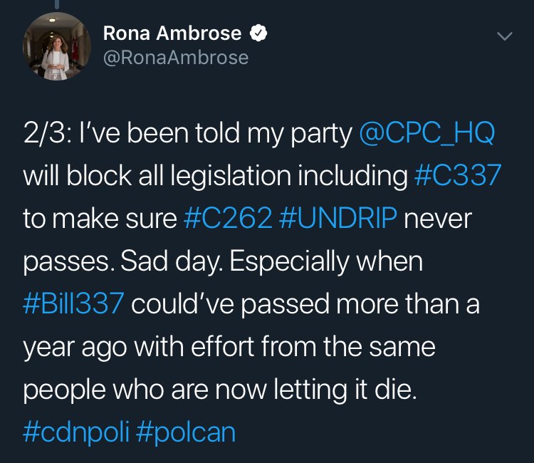 SuburbanPolly's tweet photo. @CPC_HQ This is how much women matter to the CPC! Big business matters more than sexual assault victims and the Indigenous! Shame on you all! #Cdnpoli #UNDRIP #Bill337 #Bill262 https://t.co/WLs0WTrR4M