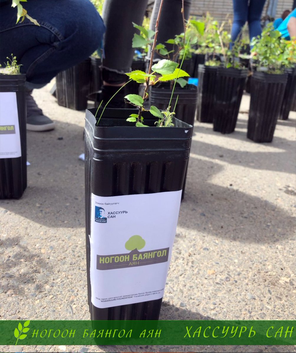 "Ногоон Баянгол Аян" маань амжилттай хэрэгжсээр байна. Айл бүрт нэг мод уриатайгаар явагдаж байгаа энэхүү аянд маань одоогийн байдлаар 1613 айл хамрагдаад байна.