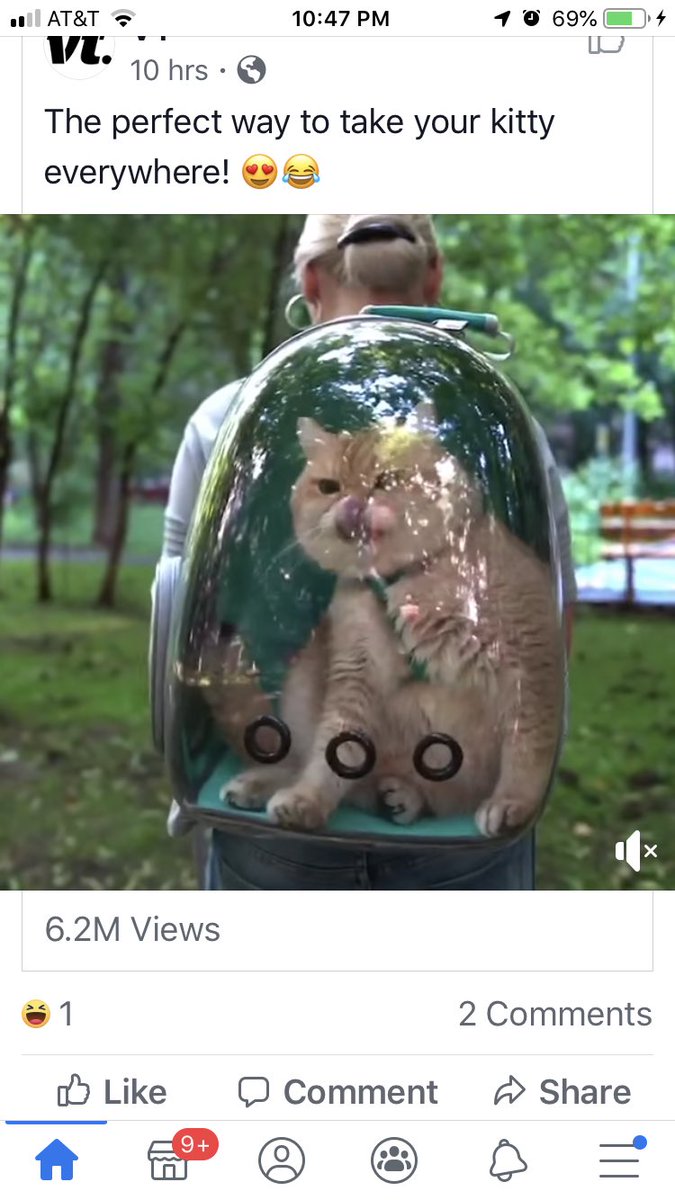 juniebmeow's tweet photo. What crazy human thought this was a good idea? https://t.co/KFrXfQfmSH