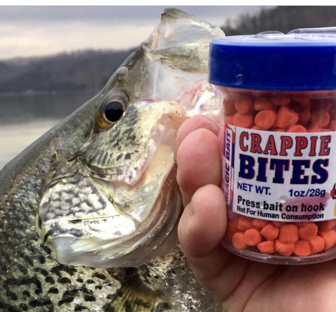 Magic Bait Co. tweet media