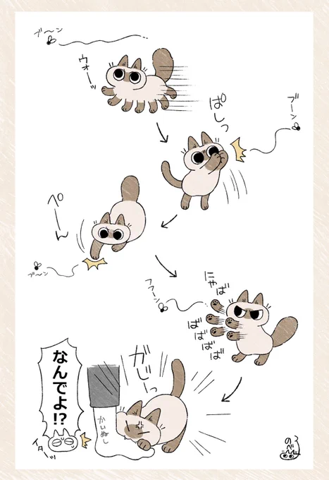 やつあたりしちゃう? #ねこ日記 