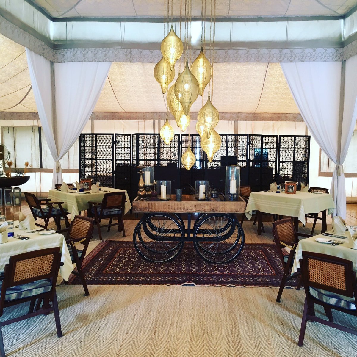 Lincoln Harris tweet media