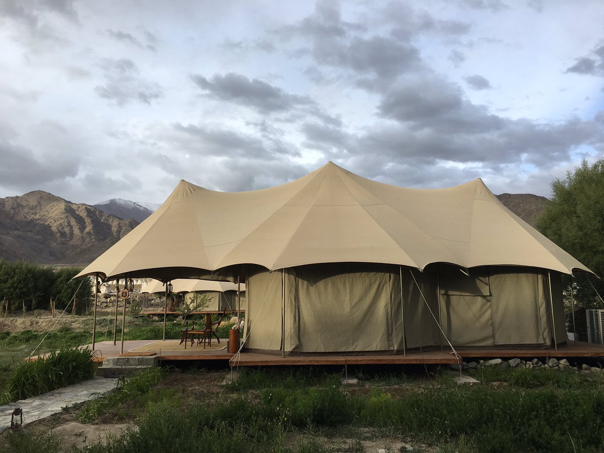 Lincoln Harris tweet media