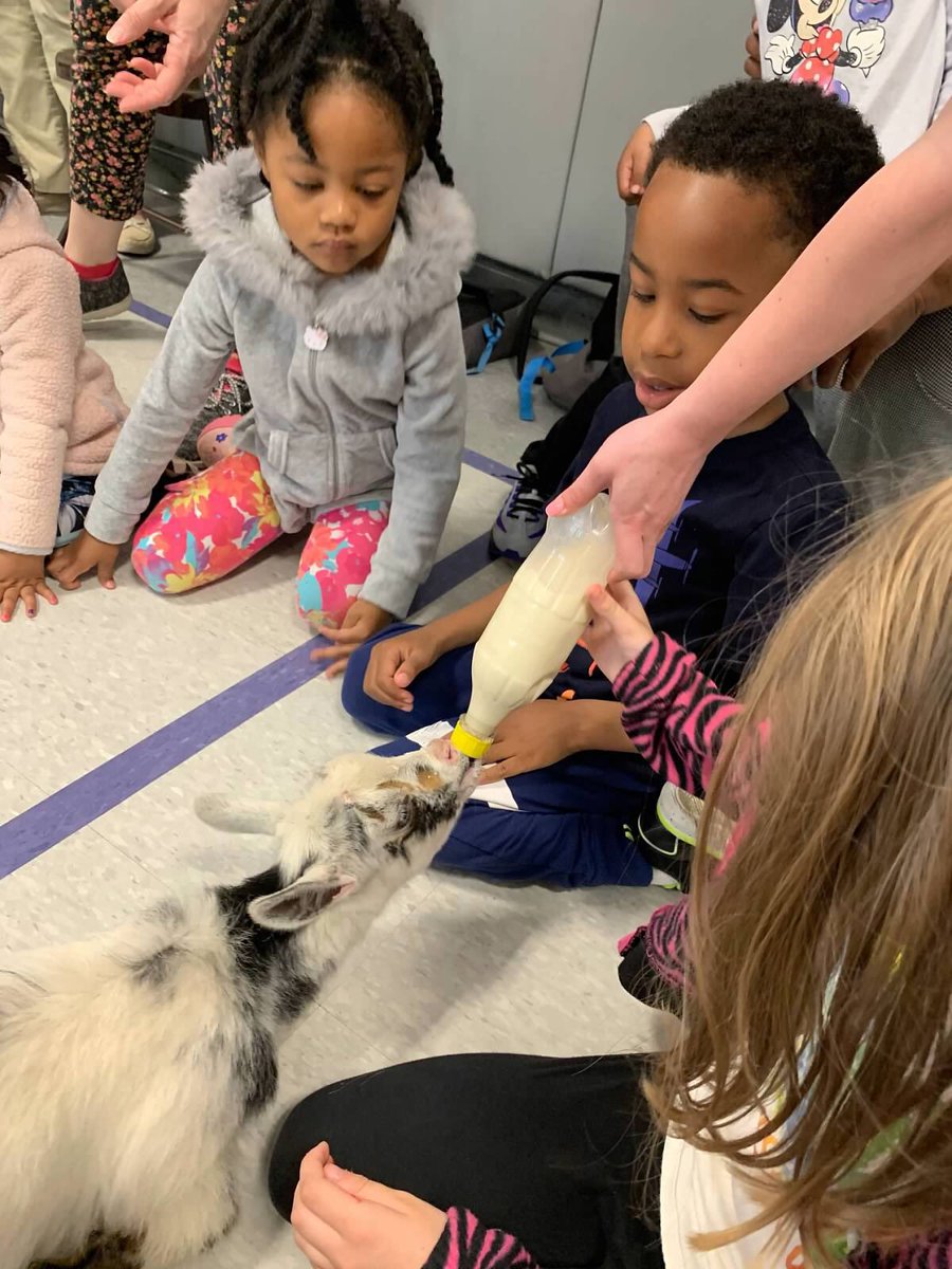BBBtheplacetobe's tweet photo. Thank you Farmer John for visiting us! Your fun facts and stories always make our hearts full. We love animals (and you!). https://t.co/pmVxyMGQTW