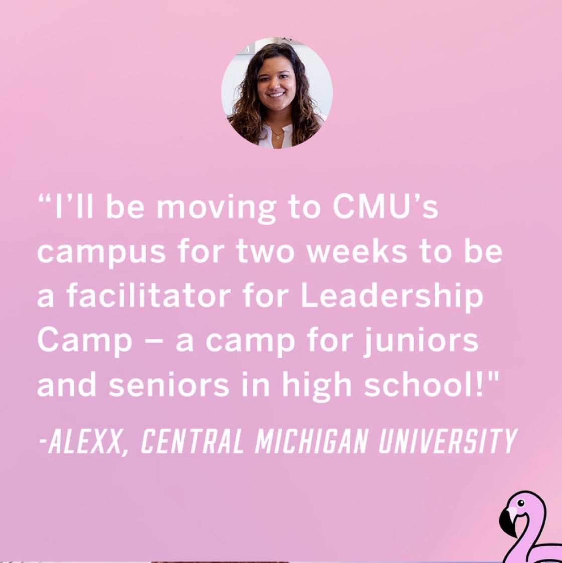 CMUVSPINK's tweet photo. Check the PINK Nation app for a familiar face! 💖 https://t.co/OzF6nZPa0j