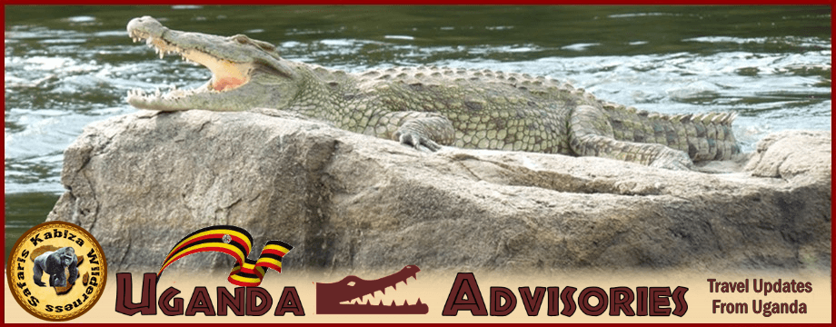 Latest Travel Advice for Tourists Visiting Uganda the Pearl of Africa kabiza.com/kabiza-wildern…