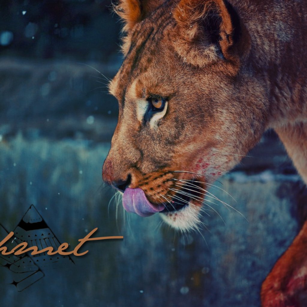 𓂀 الشياطين ;

Me han echado del infierno. Dicen que es que me falta un pecado. Yo quise quedarme dentro, prometí estarme callada. Pero ni con mi silencio, ni siendo yo muy diabla.