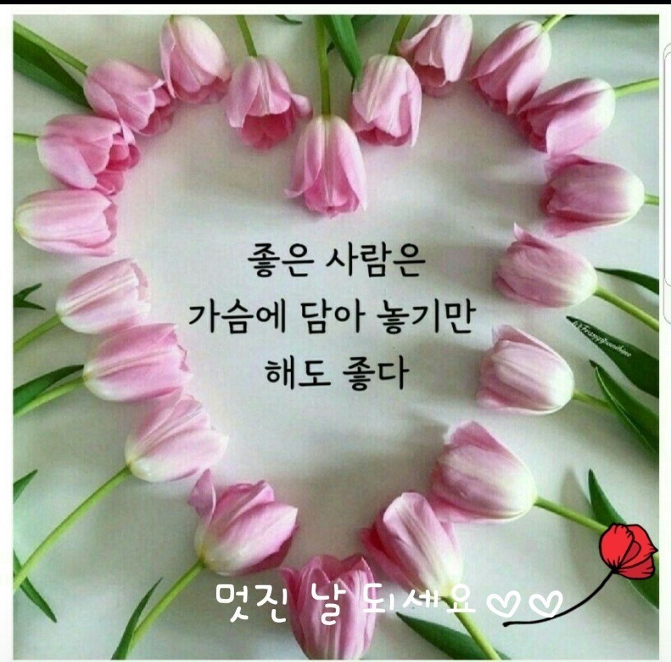 PEACEFUL (@joyraon486) on Twitter photo 