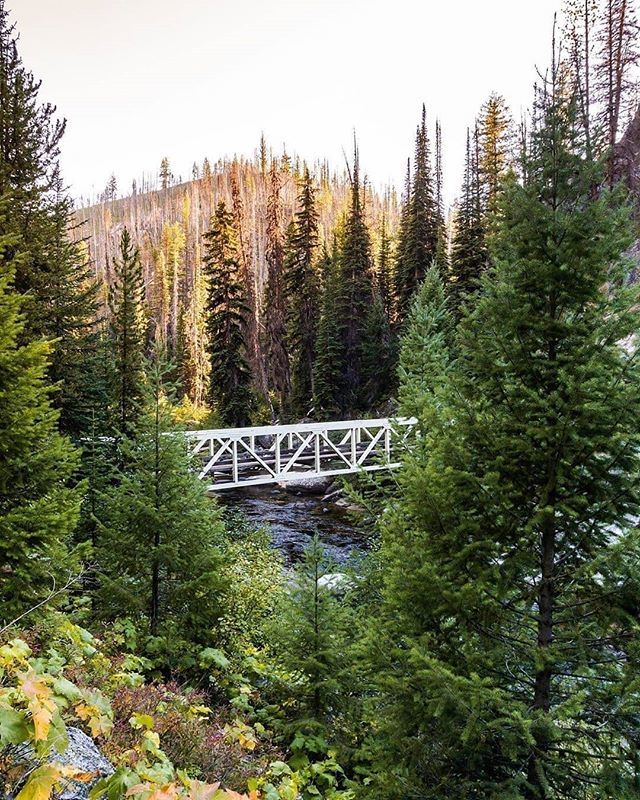 ExploredCo's tweet photo. Photo from @toastyhug || Near McCall || This image was the second most popular feature on @idahoexplored this week - #IdahoExplored is a member of the #ExploredCo family || #Idaho https://t.co/t92yhh51nN https://t.co/yzMDP9vkqb