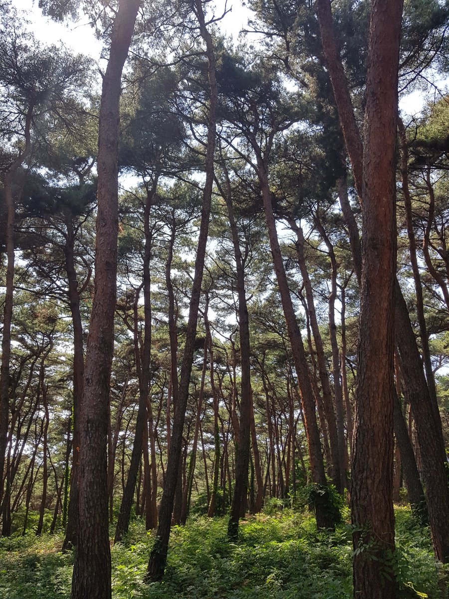 현충사오시면

찾아보세요~~~~