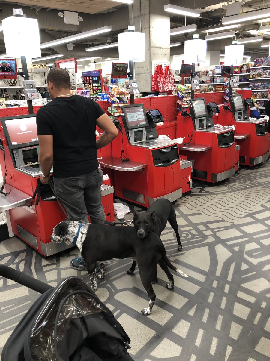MichaelVDoane's tweet photo. Whatever happened to Service Dogs Only being enforced? The new Target Lower East Side Grand, NYC is THE WORST. I see multiple dogs in there all the time. These 2 just stared down my 11-month old twins and the one growled menacingly. Unacceptable, @Target https://t.co/IsV7knfhFY
