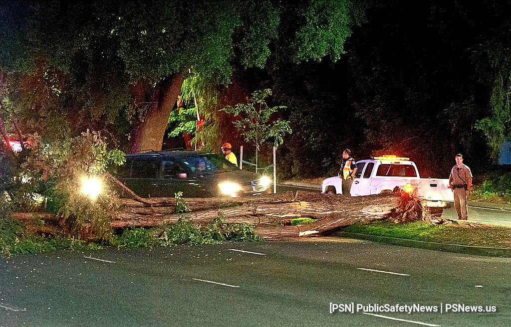 PSNews_Sac's tweet photo. #TRAFFICALERT #DownedTree #CampusCommons
How at Swarthmore Drive
#PSNNextLevelCoverage #PSNTeamCoverage
NB lanes of Howe are being diverted down LaRiviera. Downed tree at Swarthmore.
South lanes are open.
[ help us reach the next level of PSN by going to https://t.co/s881Shfr7B ] https://t.co/ckAf1nFlCS