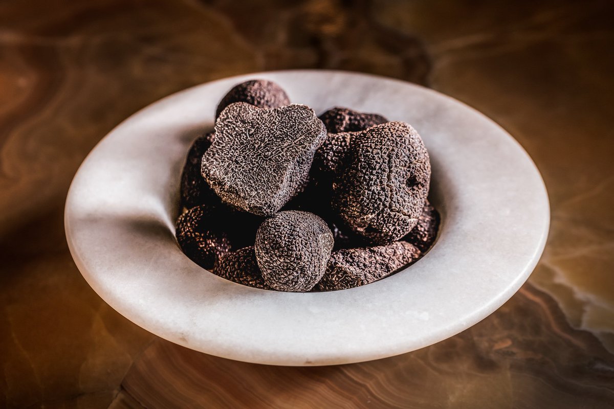 BACCHUSBrisbane's tweet photo. The Truffle Degustation has returned to Bacchus! Available for a strictly limited season until July 22.

Truffles take a dish from delightful to decadent, from fulfilling to a full-on flavour festival.

View the menu &amp; make your reservation: https://t.co/tTEv6orwK6 https://t.co/OSIlGSiEsX
