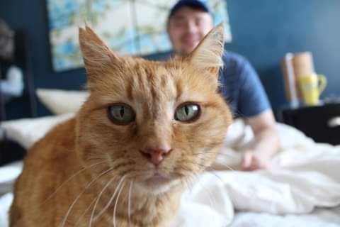 awesomecutecats's tweet photo. Featuring Nemo and a SpongeBob mug in the background https://t.co/ajuxIpfcaw