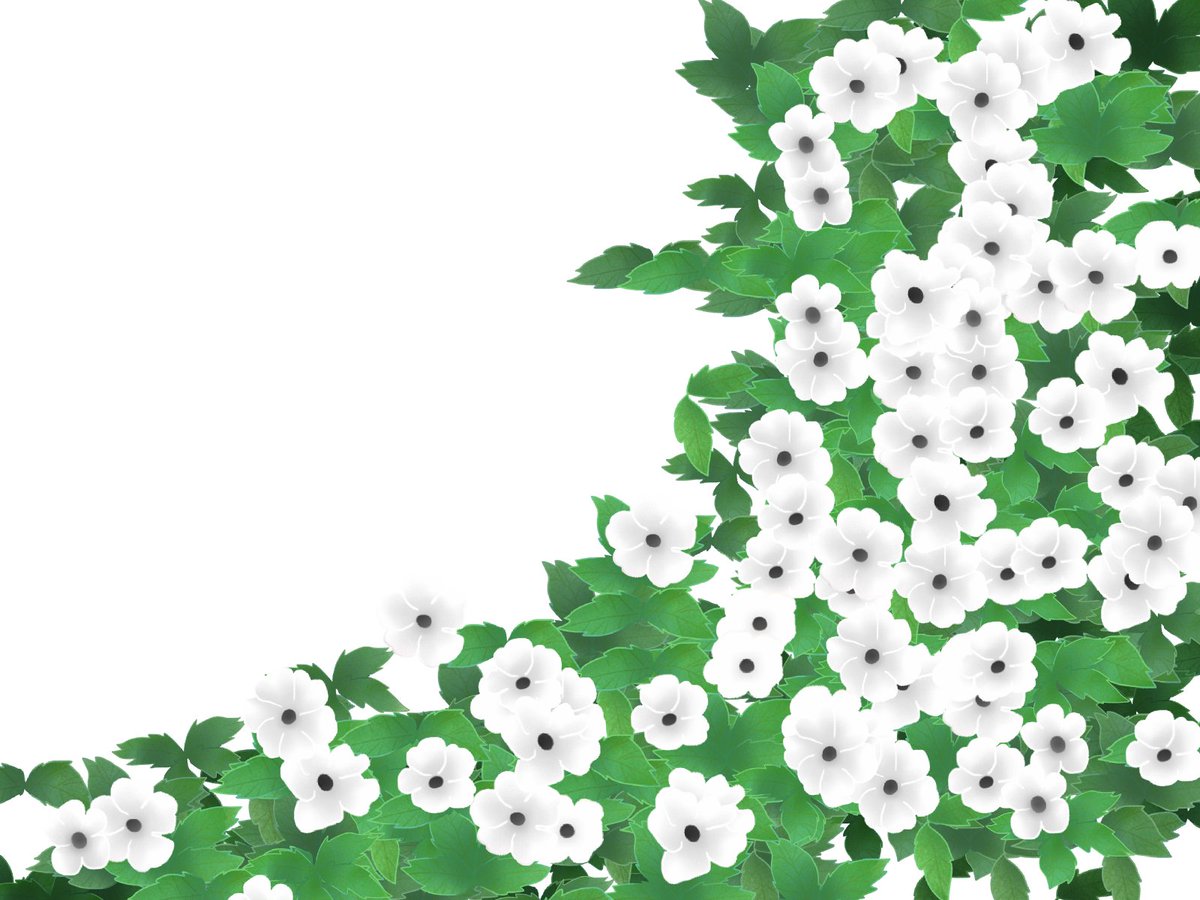 愛ちん ゆめみ愛 イラストacさん投稿の６月１３日の誕生花 ツンベルギア です 無料なので良かったらどうぞです T Co Ylut4tnqci ツンベルギアの花の名は 江戸時代に 長崎の出島に医師として赴任したスウェーデンの植物学者ツンベルク