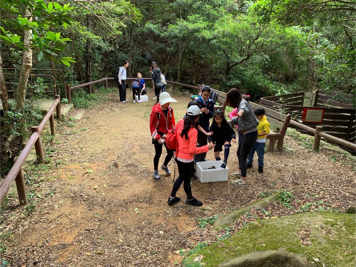 <a href="/mountkelly_hk/">Mount Kelly HK</a> Prep School had a fantastic day at Park View in Tai Tam Country Park as part of Mount Kelly's Shackleton Community Programme. This was a fun race aimed at all year groups and really brought out everyone’s competitive spirit. #HongKong #shackleton