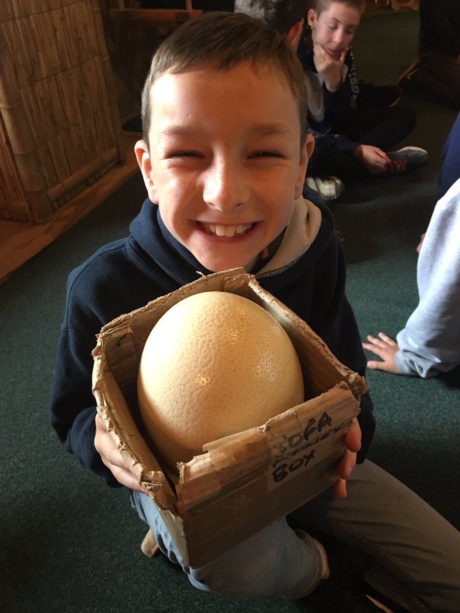 An ostrich egg.