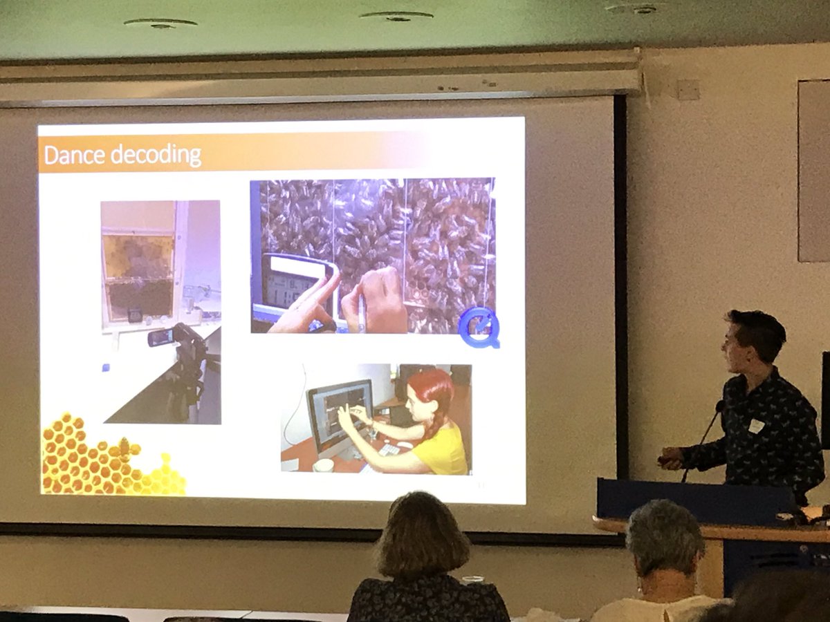 Becky Thomas (@beckymicrocebus) on Twitter photo Honeybees forage shorter distances and have higher nectar quality in #urban areas. Excellent project decoding waggle dances by <a href="/Ash_Samuelson/">Ash Samuelson</a> @ElliLeadbeater1 <a href="/RHULBioSci/">RHUL Biology</a> #CEESymosium Honeybees forage shorter distances and have higher nectar quality in #urban areas. Excellent project decoding waggle dances by <a href="/Ash_Samuelson/">Ash Samuelson</a> @ElliLeadbeater1 <a href="/RHULBioSci/">RHUL Biology</a> #CEESymosium
